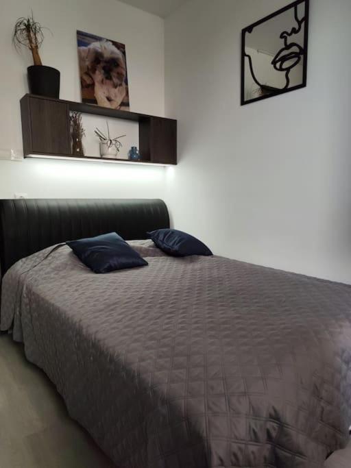 Riverloft With Wellness By Newave Apartament Budapesta